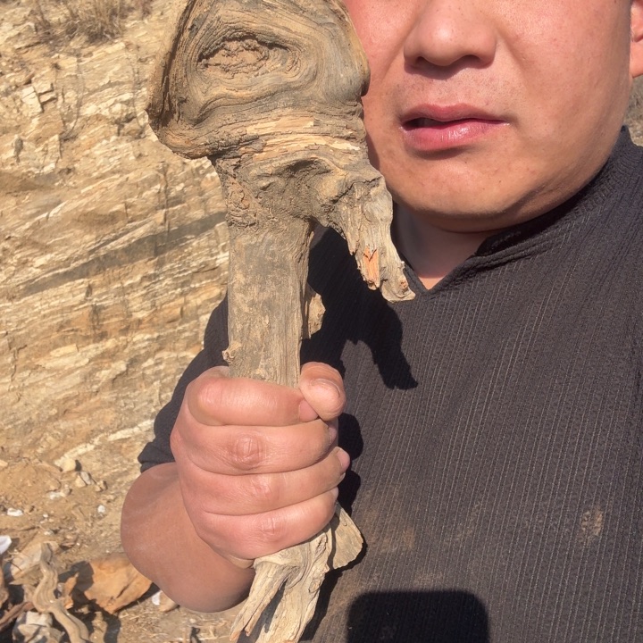 阿***颤有机玻璃太行崖柏