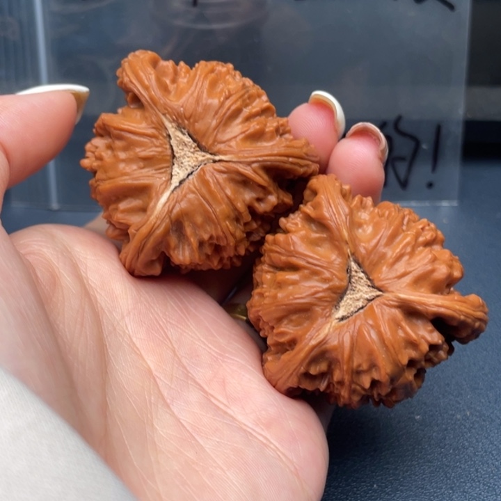 安***哥文玩核桃吊坠白狮子