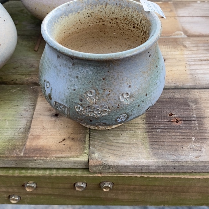 遇*海5号多肉盆一个呀