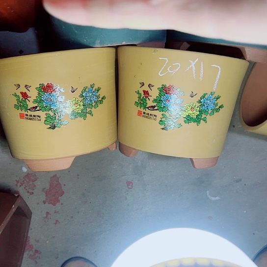 S紫砂紫砂紫砂紫砂