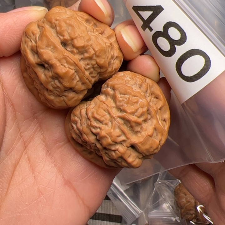 核桃全品39边40肚480