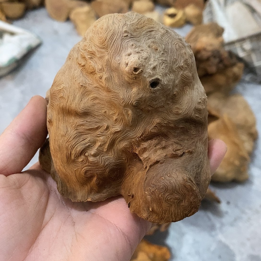 3***治荔枝木荔枝木原料