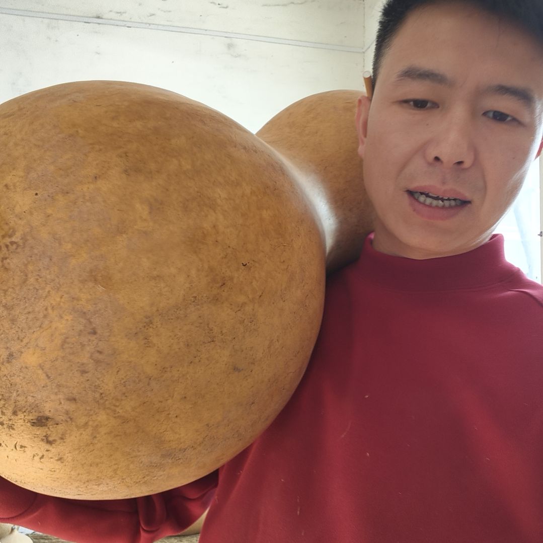 葫芦娃救爷爷一个一个的来