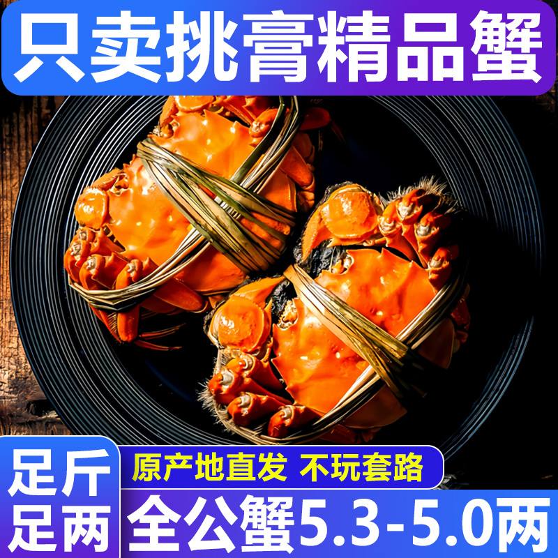 【活蟹】大闸蟹全公蟹5.3-5.0两6-10只 江苏精品螃蟹鲜活净重礼盒XX