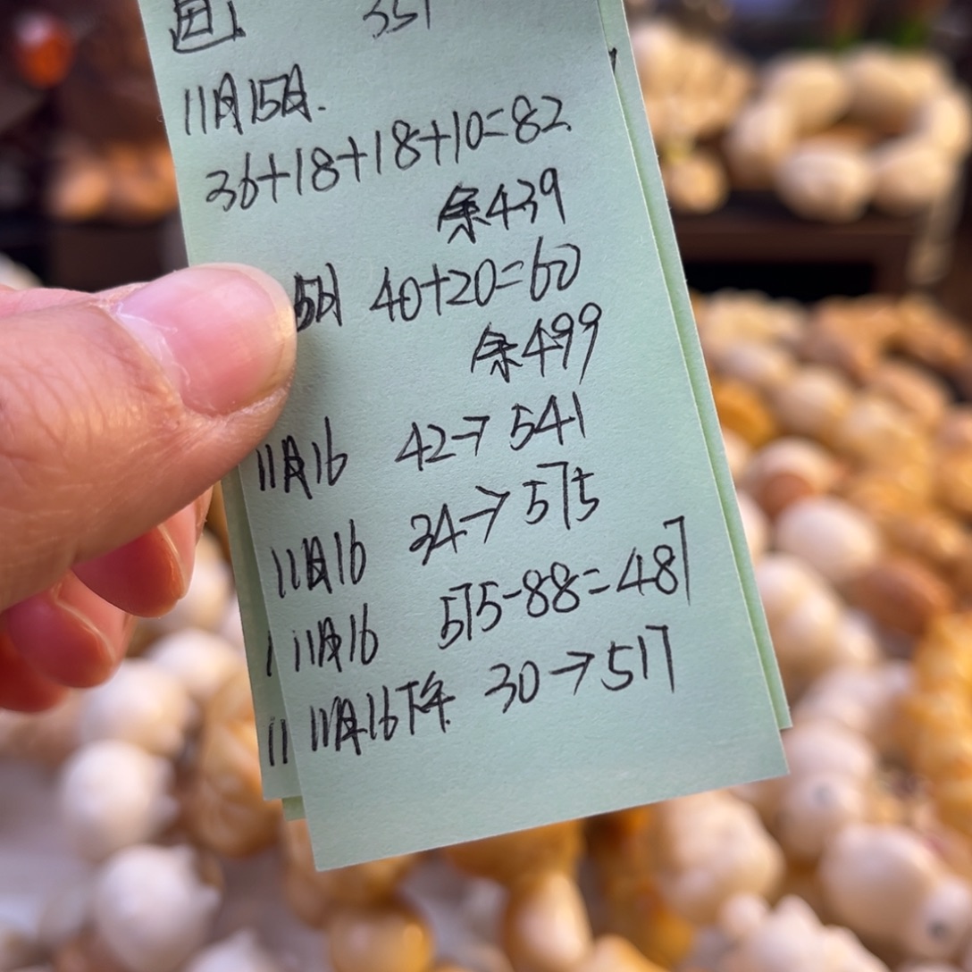 *****菩提根/象牙果手串画宝预存30