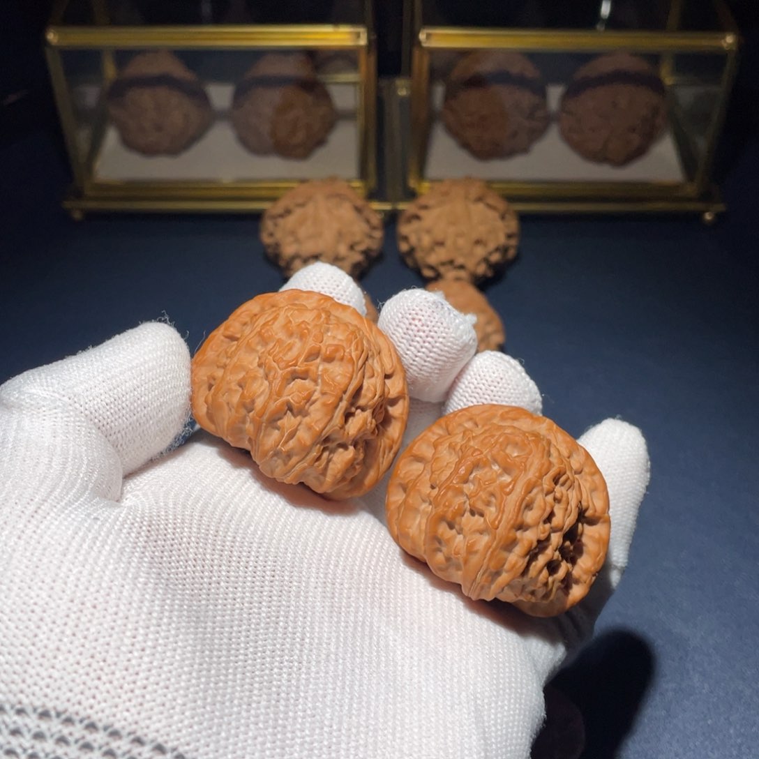 文玩核桃把件哒*哒41.5白狮子