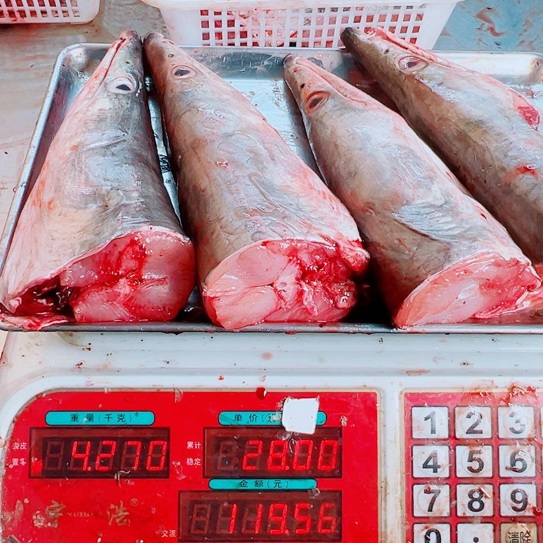 中国大陆四个鳗鱼头