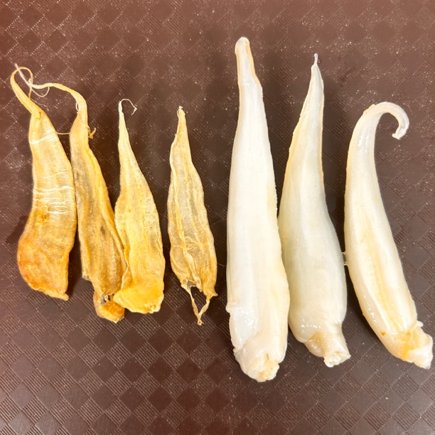 清水580-600头足干豆仁胶鱼胶花胶炖汤炖奶宝宝煲粥