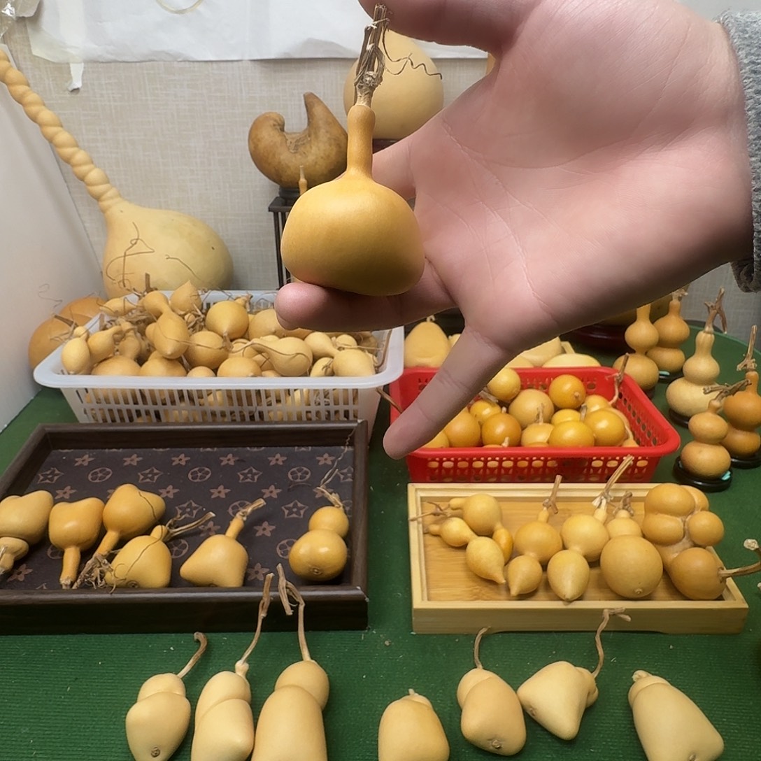 大***麻葫芦11111111111111