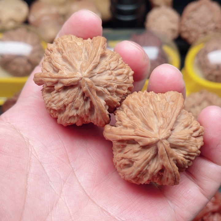 文玩核桃把件白狮子三棱40×40×40.5