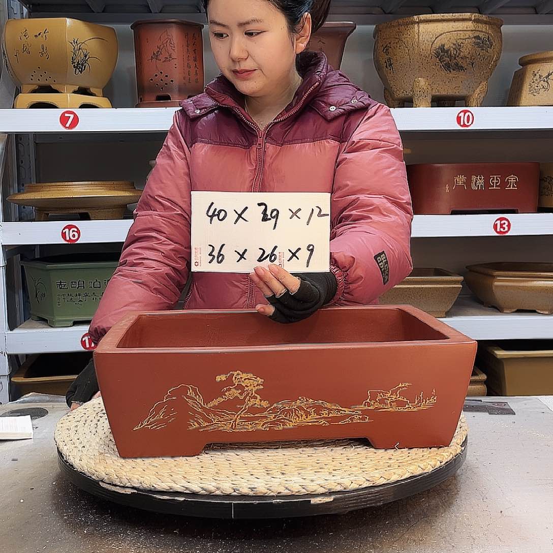 紫砂花盆紫砂花盆