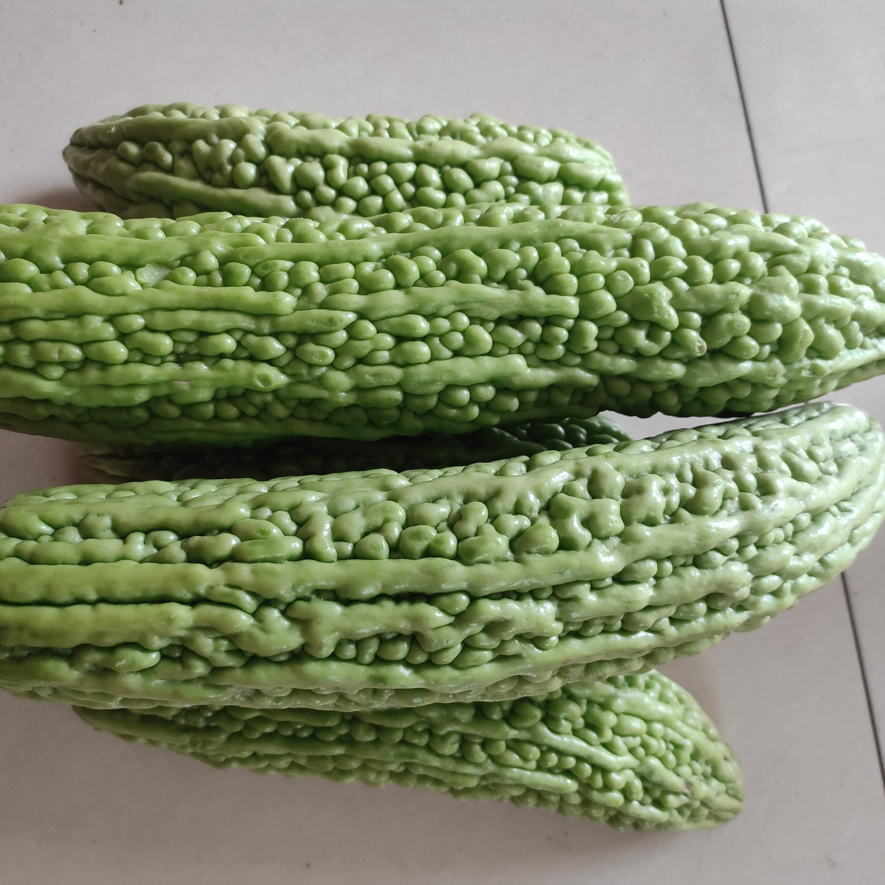 【农家自种】江西萍乡本地苦瓜