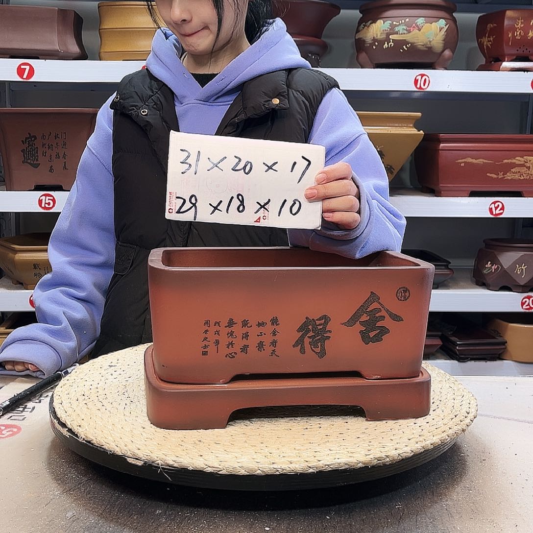 紫砂花盆紫砂花盆