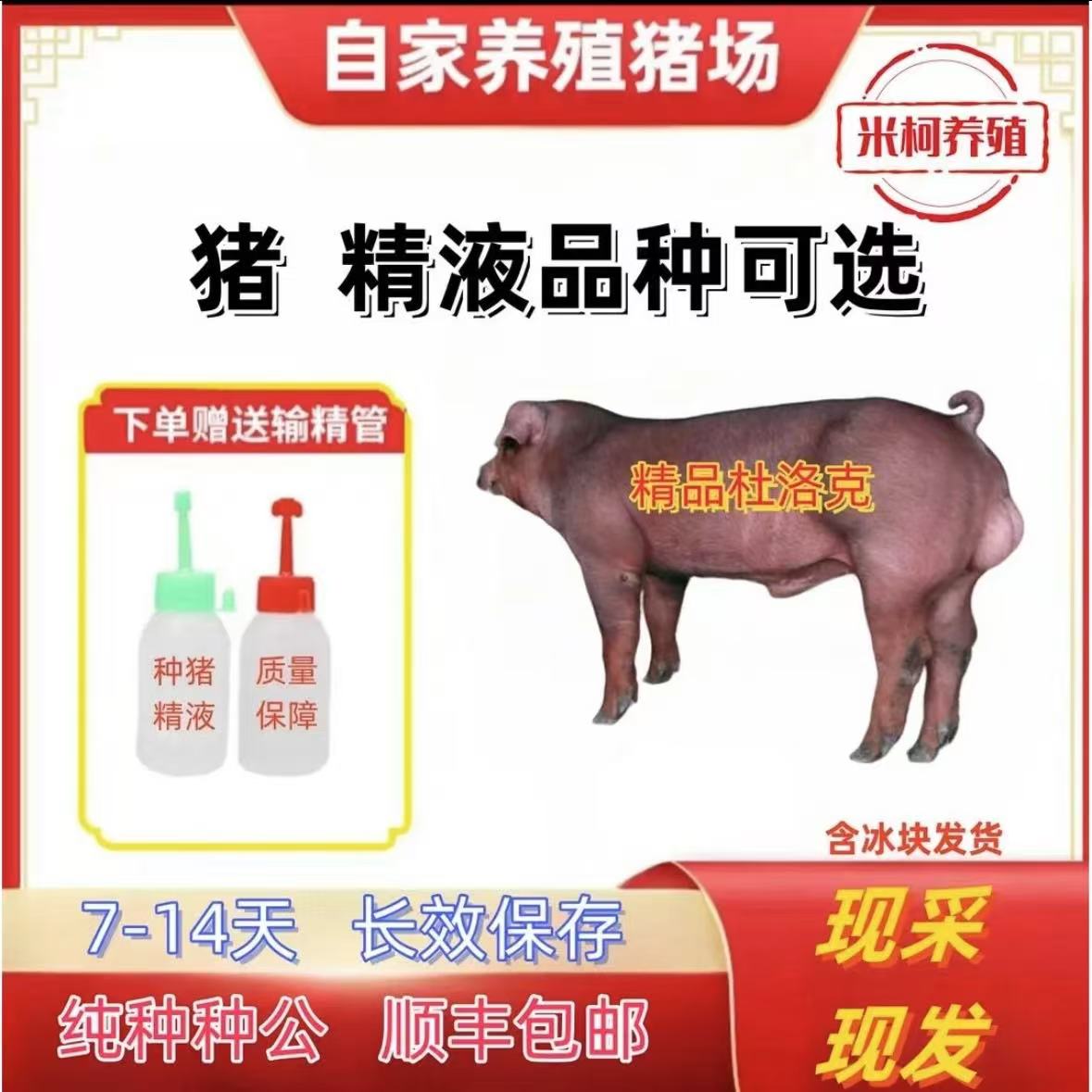 杜洛克种公精液瓶一件包邮包对版生态养殖批发输精管猪用耗材