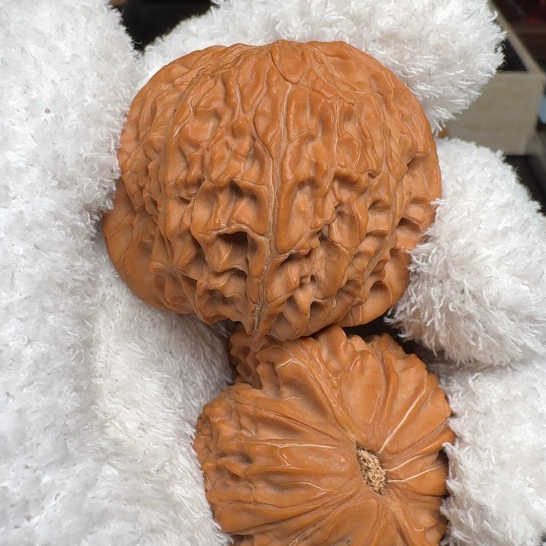 M***z把件文玩核桃全品山地磨 尺寸43