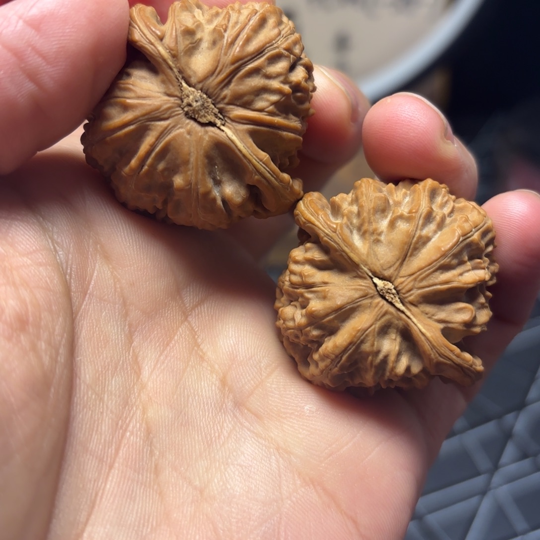 把件文玩核桃38➕全品白狮子
