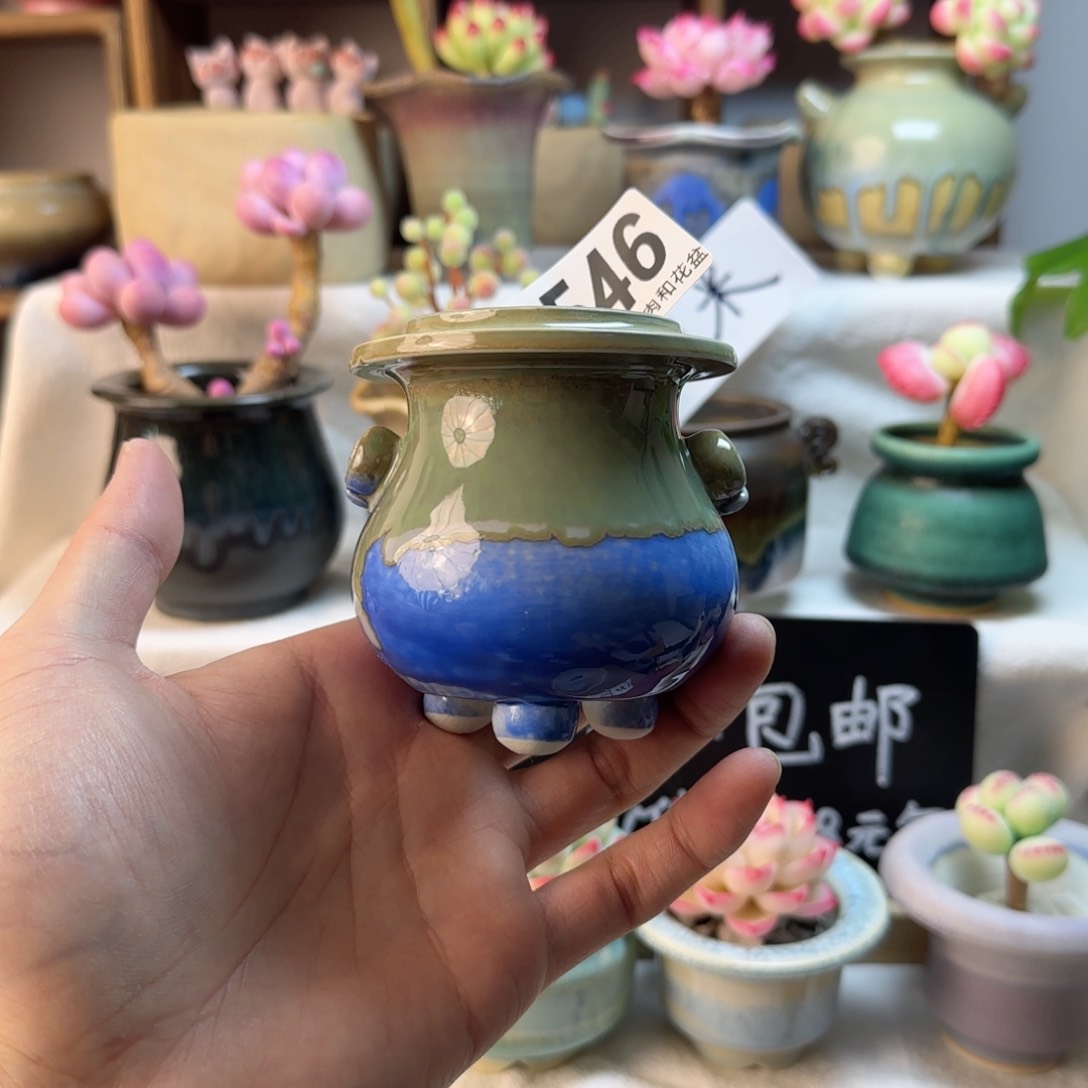 546。   内口4cm 两单包邮