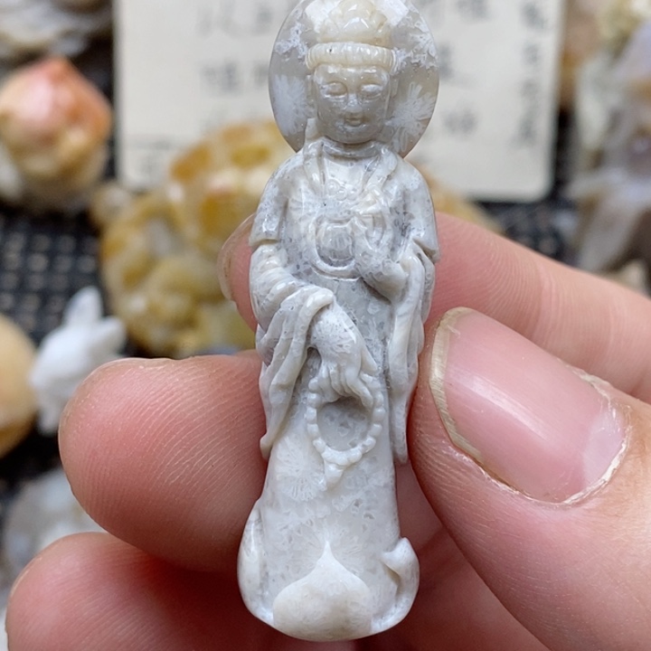 颈饰未镶嵌硅化珊瑚（珊瑚玉）