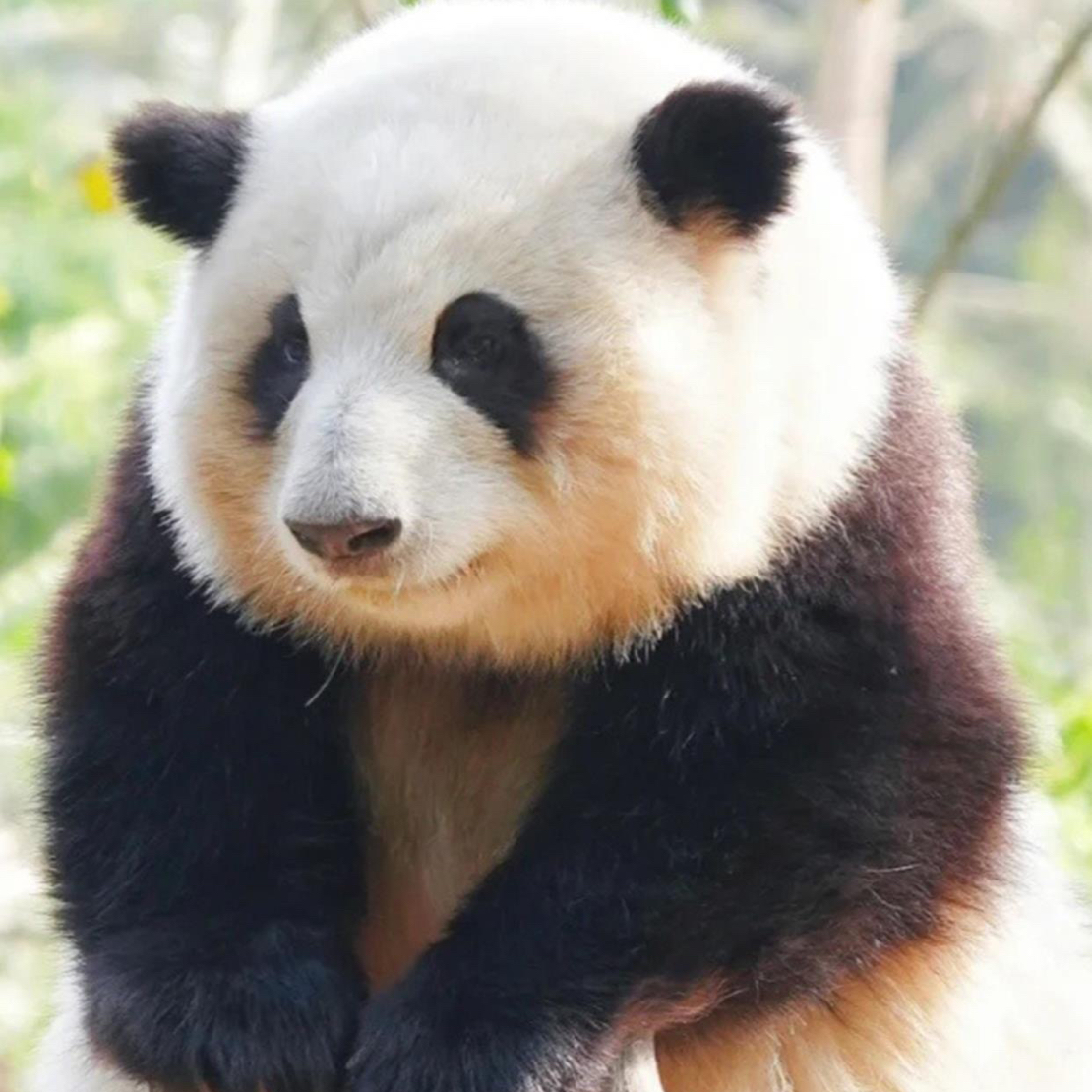 薅羊毛时刻准备好没有？