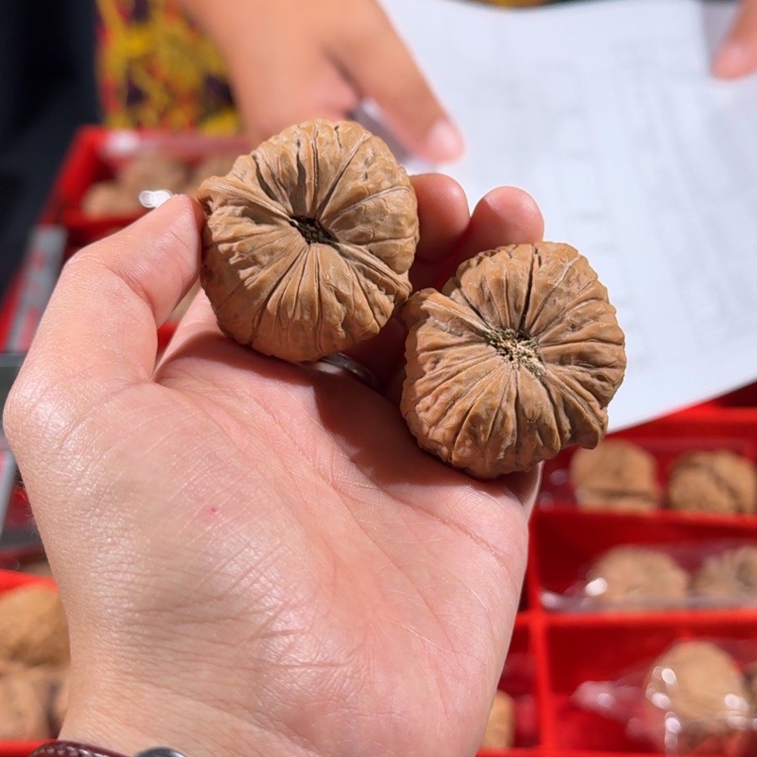 文玩核桃把件957号42全品南瓜墩