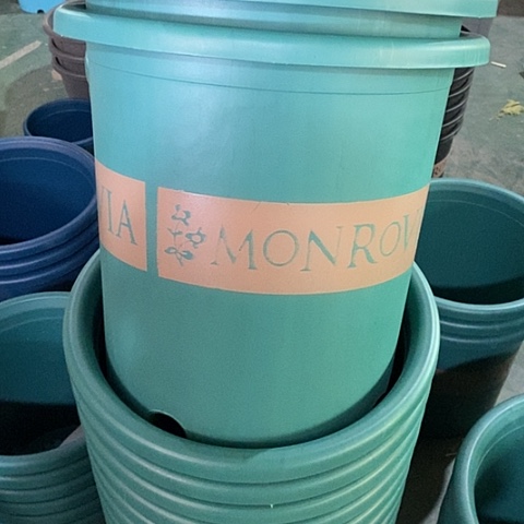 微瑕控根7加仑5个无托军绿