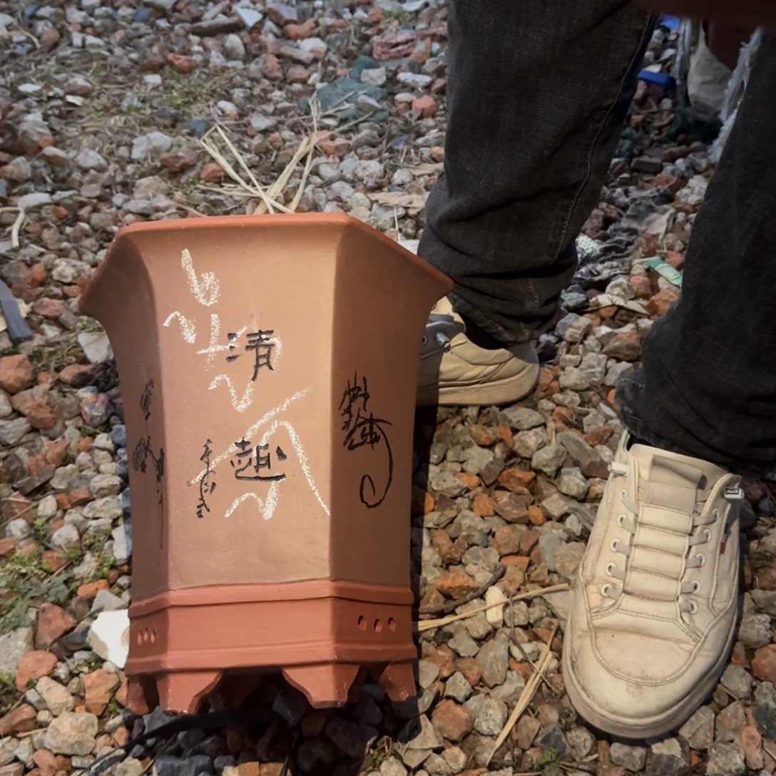 紫砂花盆花盆盆盆栽