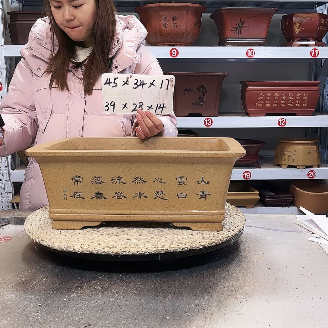 花盆紫砂紫砂花盆里