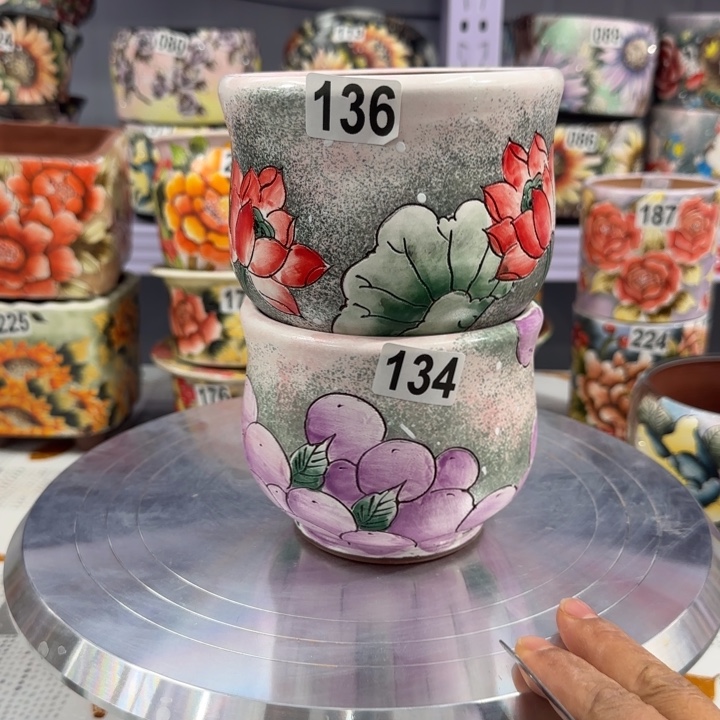 红陶田小姐多肉花盆