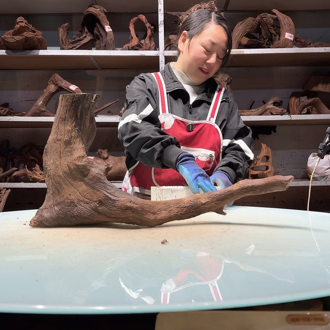 倍诸沉木不包损必褪色小*仔6960