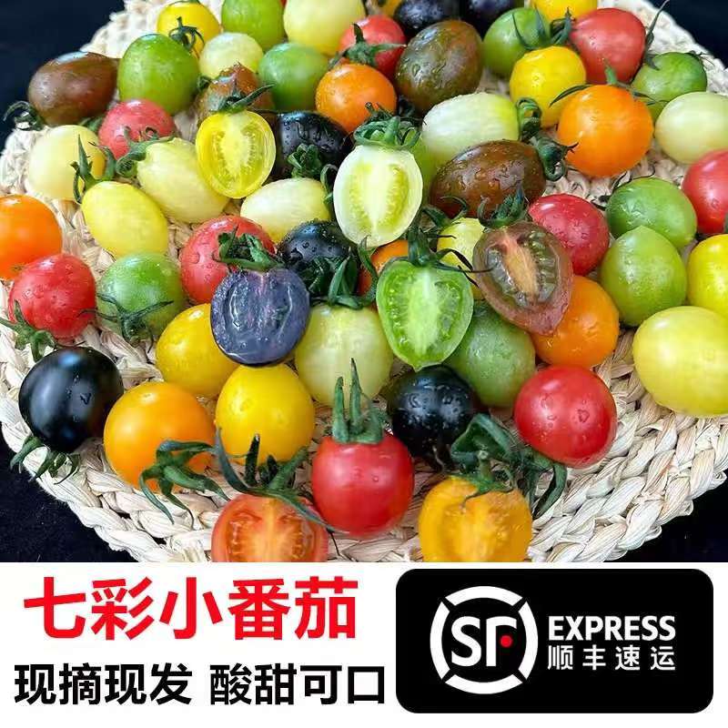 伊路鲜七彩番茄圣女果小番茄酸甜水果多汁现摘现发青甜2-4斤装