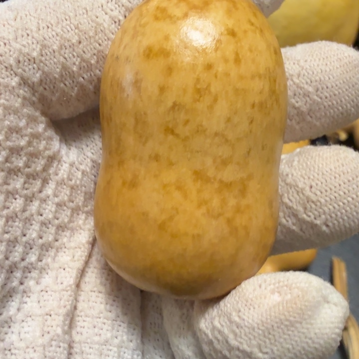 佛***人66666677777777777777