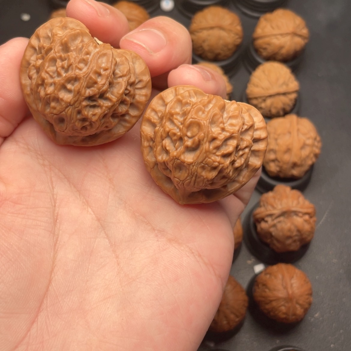 【闪购商品】文玩核桃把件任*行核桃