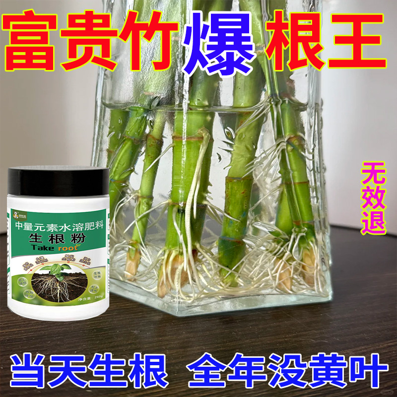 富贵竹生根粉植物生根剂发根液扦插移栽壮苗剂果树营养液花卉生根