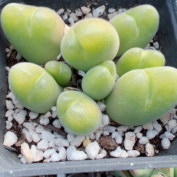 360号111111111111111