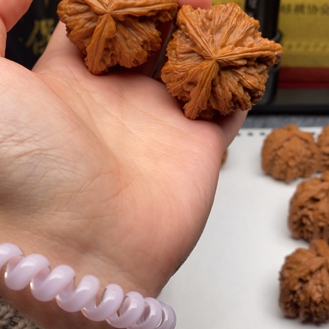 账***销白狮子1111111111