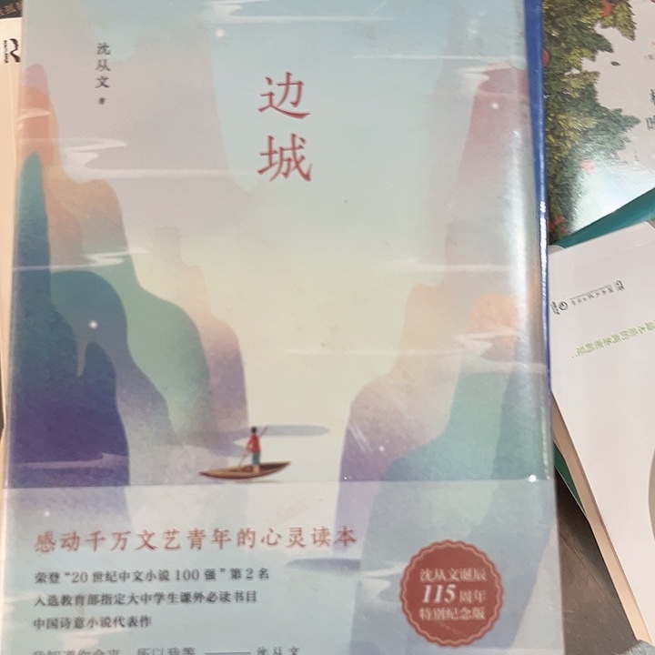 边城新书推荐全新