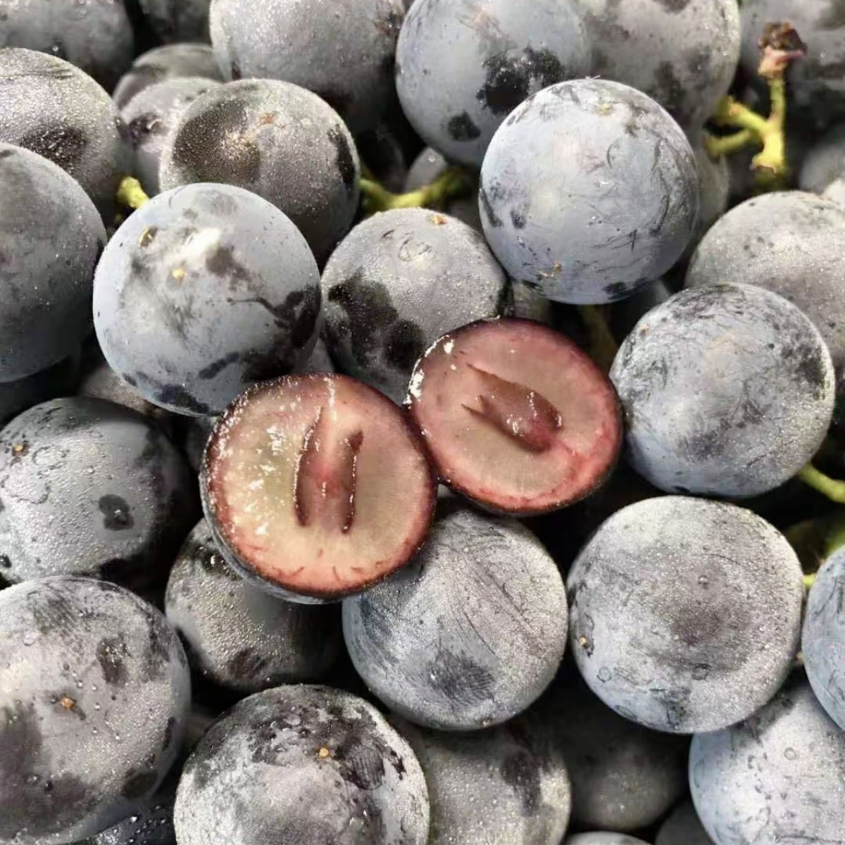 【辽选好物】蓝莓葡萄新疆特产 4斤原箱发货 净重3.4斤以上 顺丰包邮 次日达 嘎嘎甜新疆维吾尔自治区