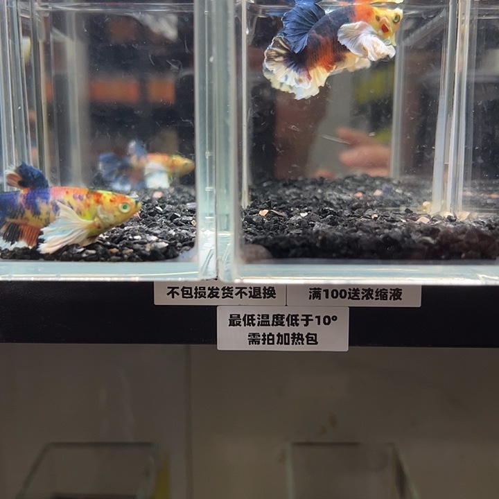 斗鱼跑单拉黑9日11+76