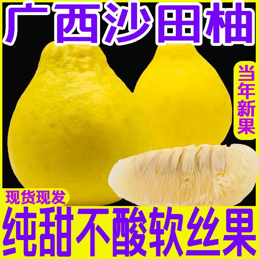 正宗广西桂林阳朔兴坪沙田柚纯甜多汁新鲜当季水果