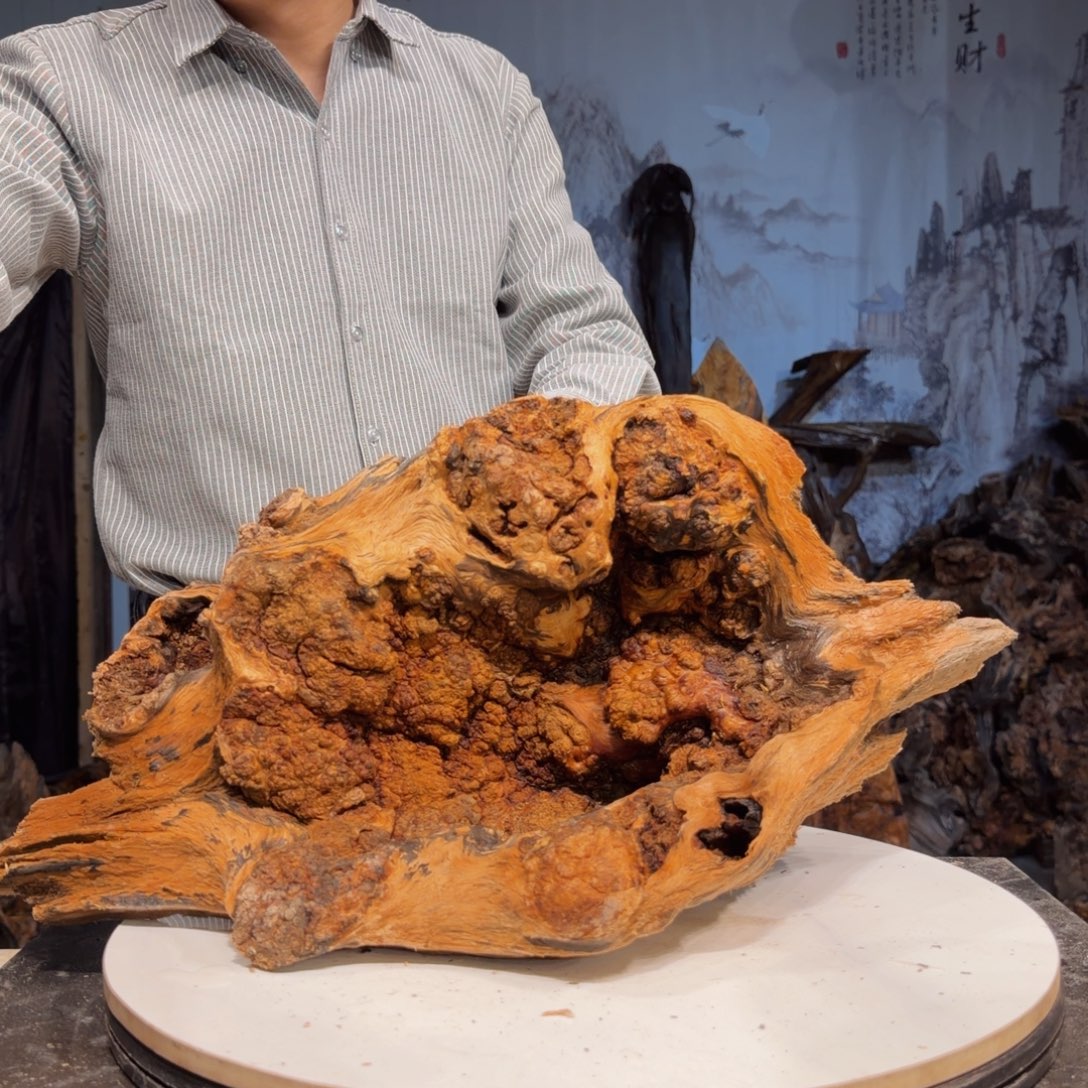 雲***艺木三丰琥珀木 天然摆件27