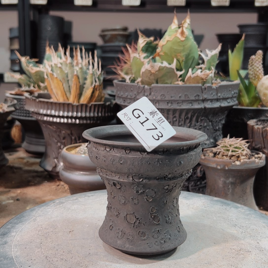 景德镇手工素里内口10.5高10