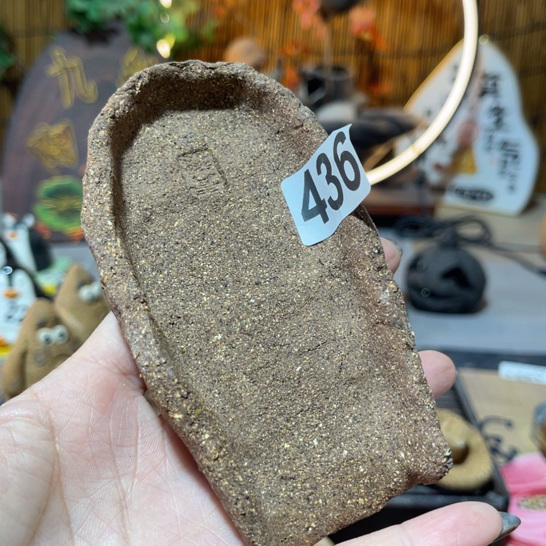 木村信弘柴烧保平