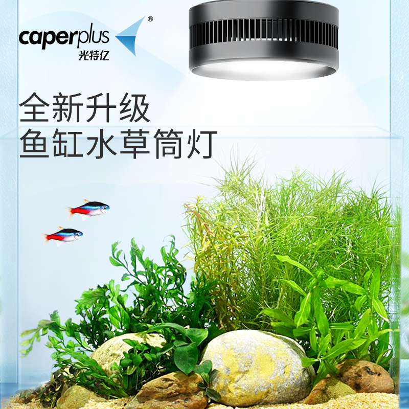 光特亿鱼缸筒灯LED原生态溪流爆藻出苔桶灯全光谱兰寿原生溪流缸