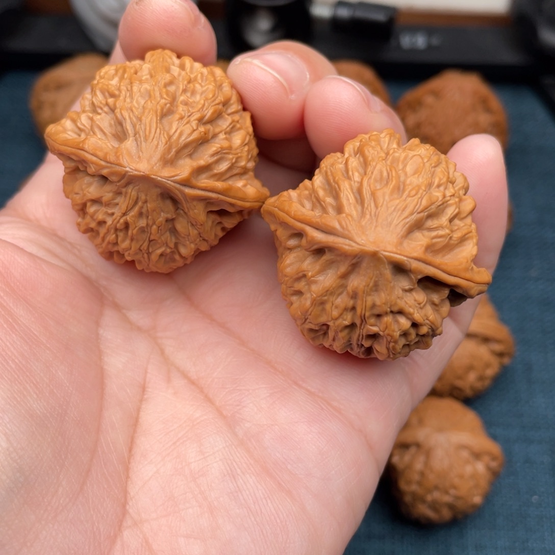 把件文玩核桃全品大克重金牛40