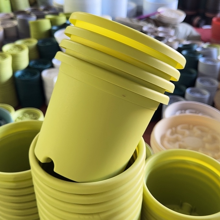 四季2#口径17果绿6个带托