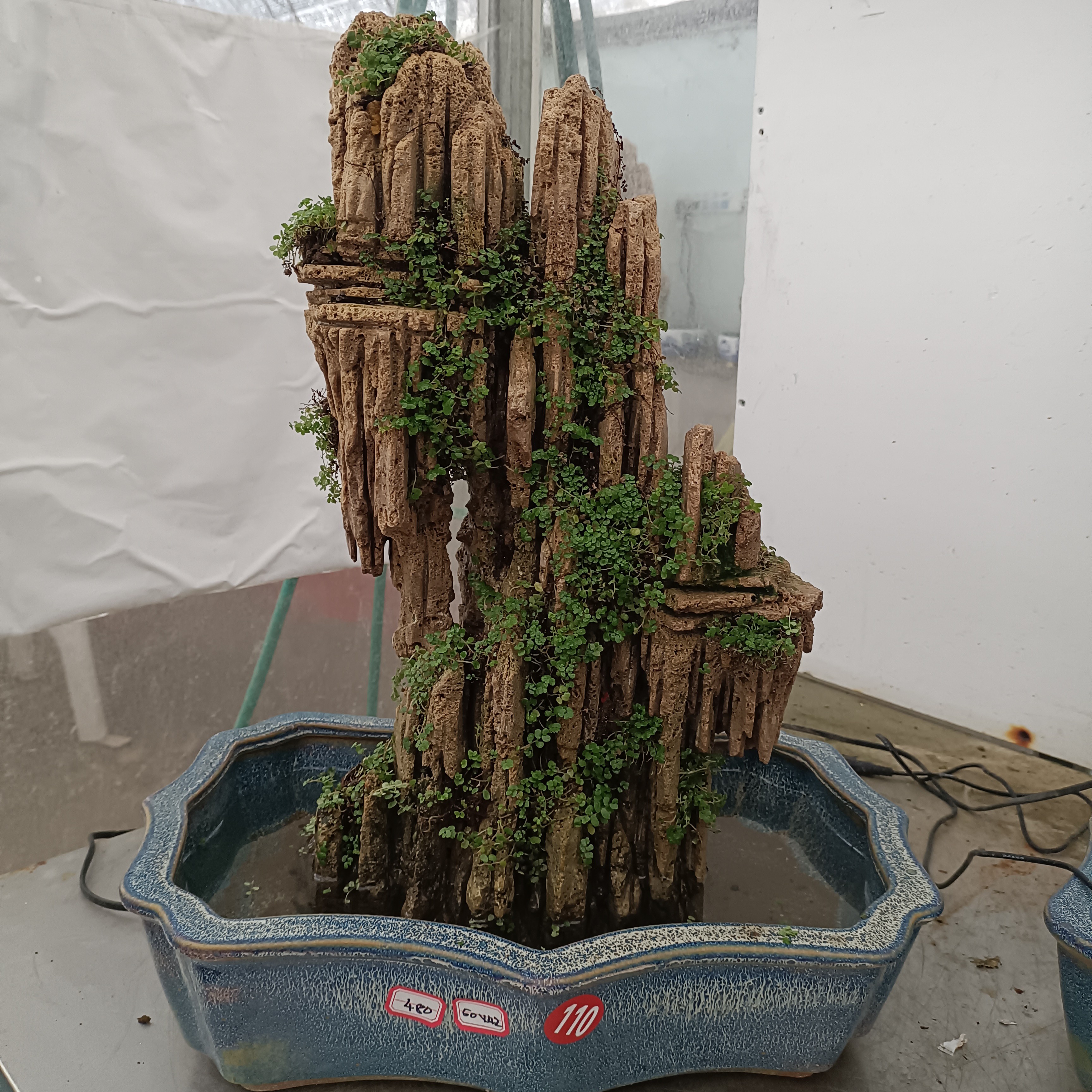 高50盆长43高山流水吸水石绿植盆景