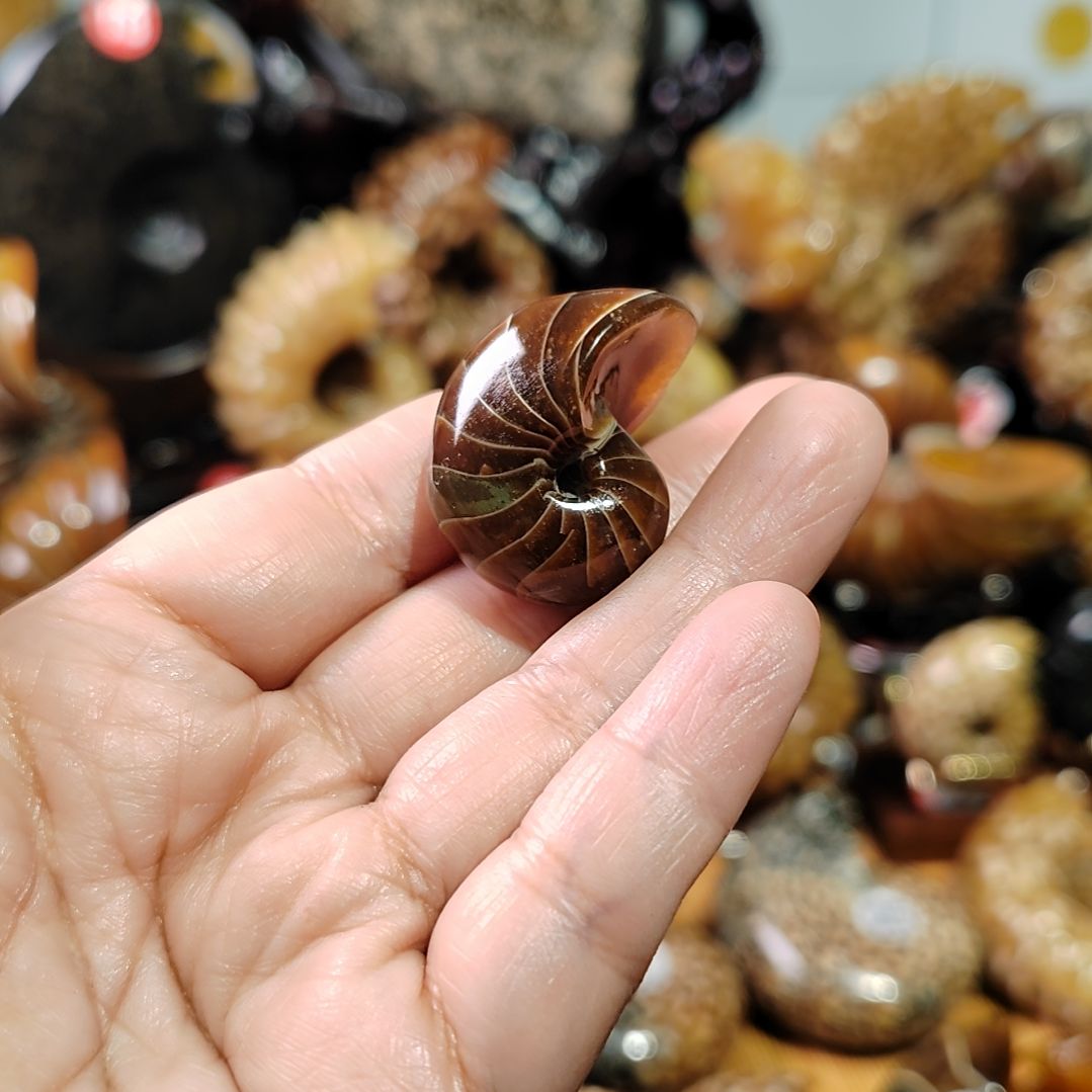 训***人有机玻璃123456789000