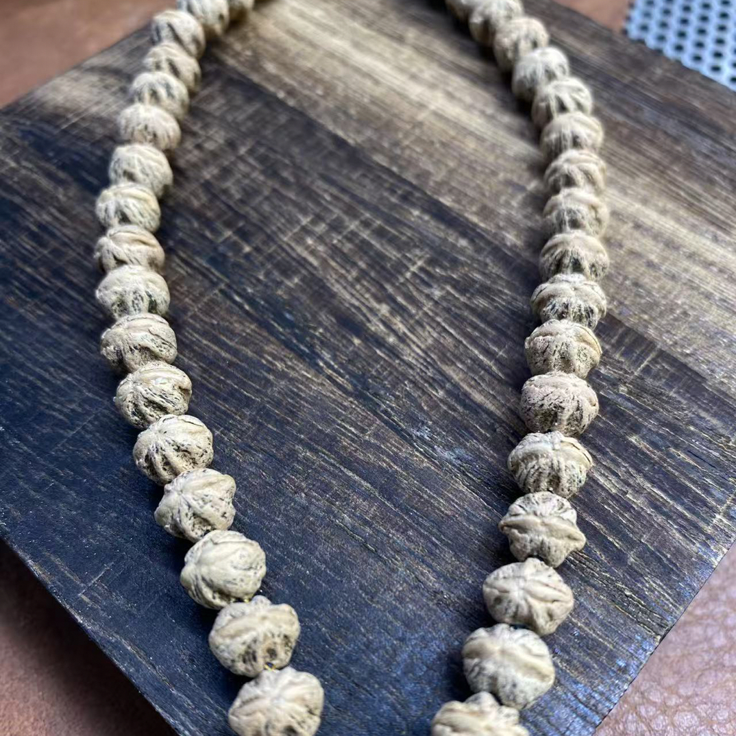 热振白芽，加菲猫芽口，尺寸8.5