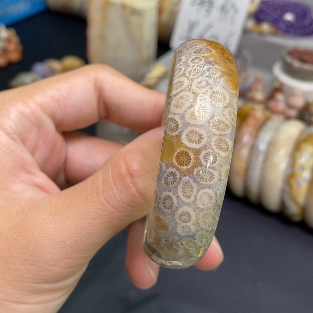 硅化玉未镶嵌手镯