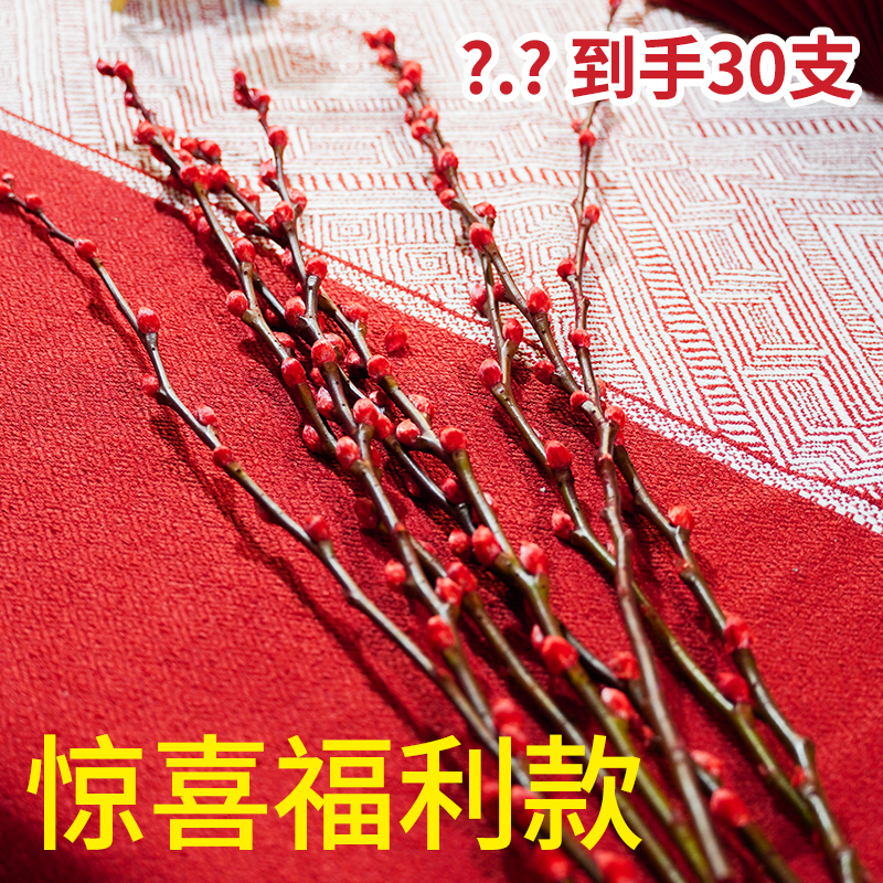 【6.8福利 | 限购1单】招财红色银柳真花鲜枝红色银柳春节年宵花卉
